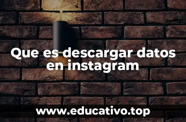 Que es descargar datos en instagram