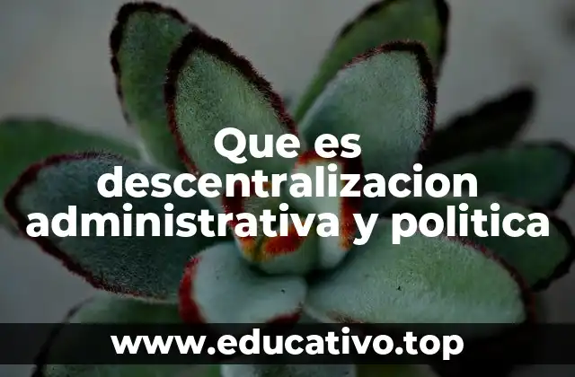 El papel de la descentralización en la gobernanza moderna