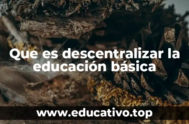 Que es descentralizar la educación básica