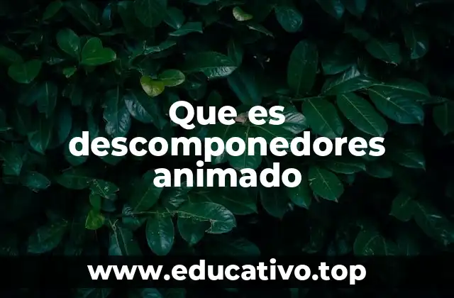 Que es descomponedores animado