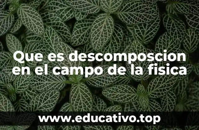 Que es descomposcion en el campo de la fisica