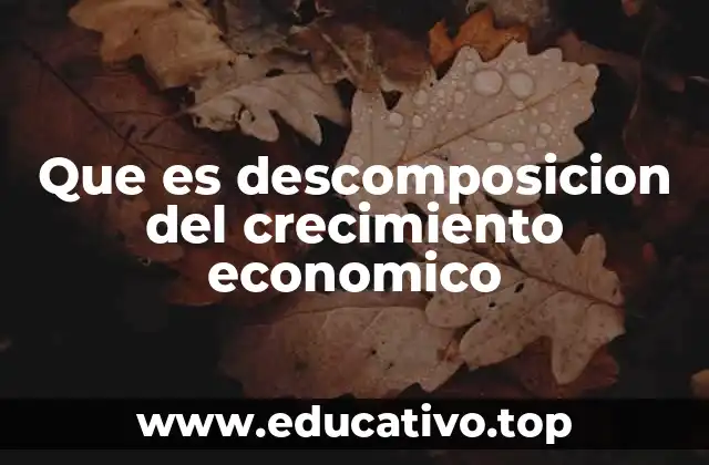 Que es descomposicion del crecimiento economico