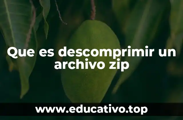 Que es descomprimir un archivo zip