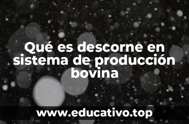 Qué es descorne en sistema de producción bovina