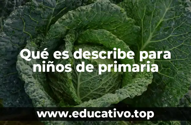 Qué es describe para niños de primaria