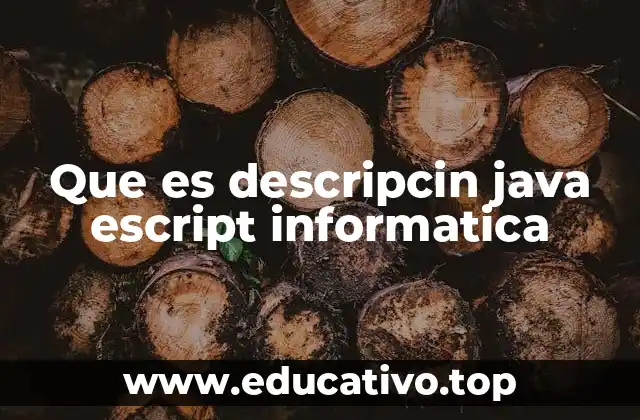 Que es descripcin java escript informatica