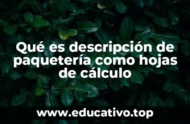 Organización eficiente de paquetería mediante herramientas digitales