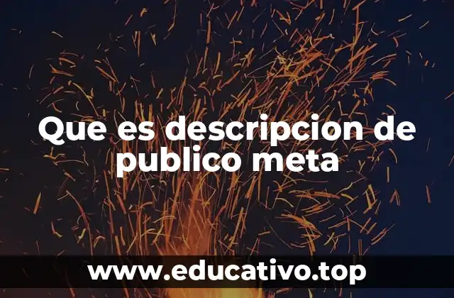 Que es descripcion de publico meta