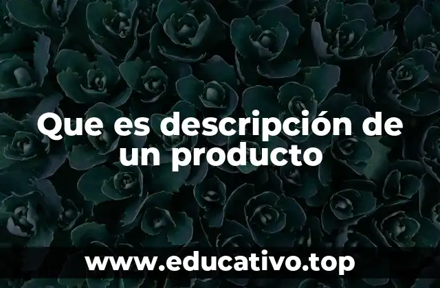 Que es descripción de un producto