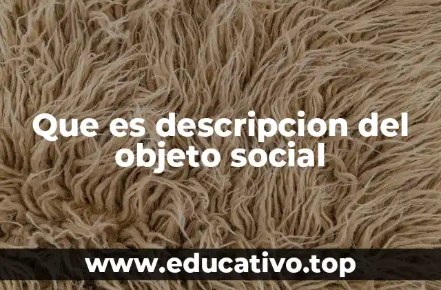 Que es descripcion del objeto social