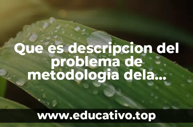 Que es descripcion del problema de metodologia dela investigacion