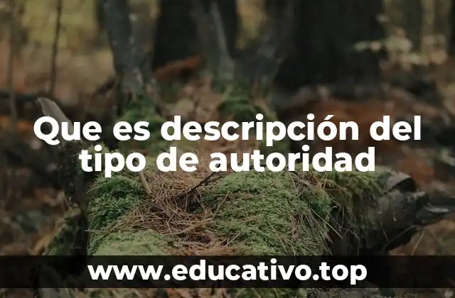 Que es descripción del tipo de autoridad