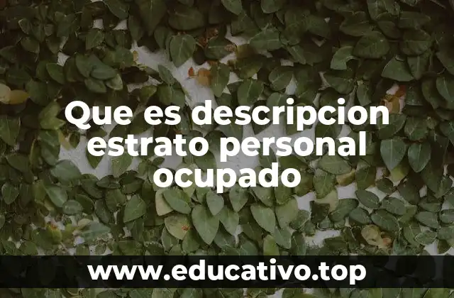Cómo se relaciona la estratificación con el empleo y la economía