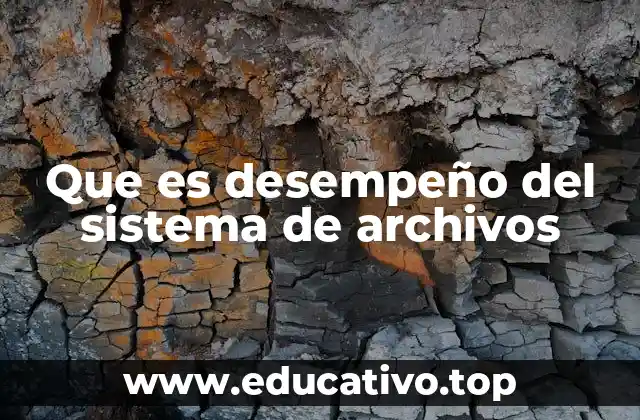 Que es desempeño del sistema de archivos