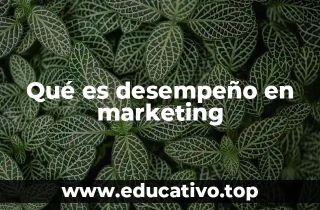 Qué es desempeño en marketing