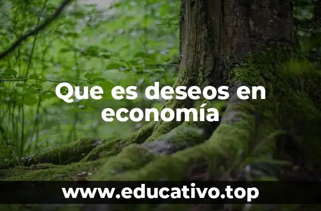 Que es deseos en economía