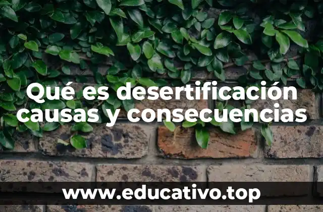 Qué es desertificación causas y consecuencias
