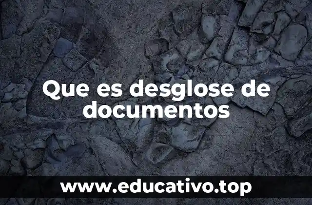 Que es desglose de documentos