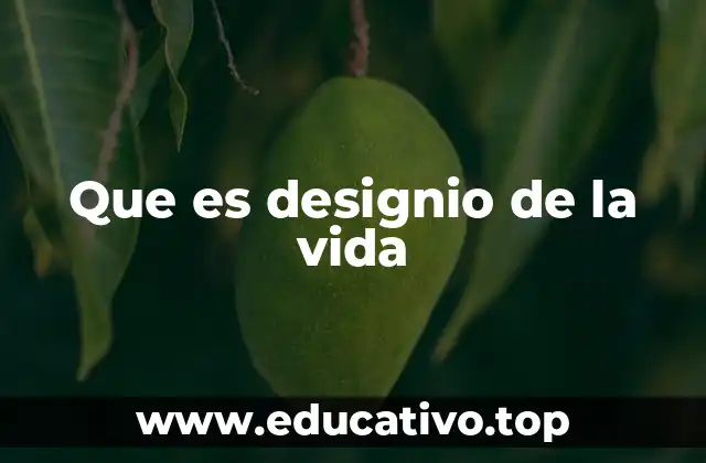 Que es designio de la vida