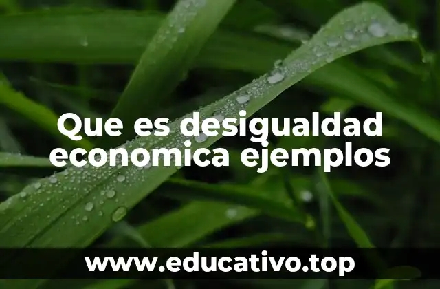 Que es desigualdad economica ejemplos