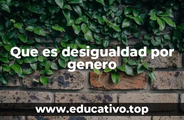 Que es desigualdad por genero