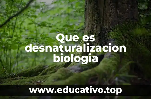 Que es desnaturalizacion biologia