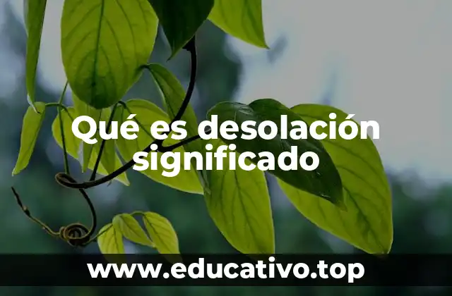 La desolación en el lenguaje y la cultura