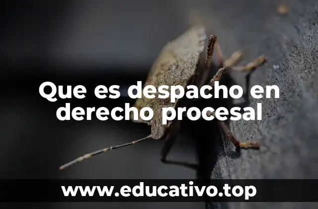 Que es despacho en derecho procesal