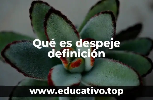 Qué es despeje definición