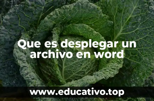 Que es desplegar un archivo en word