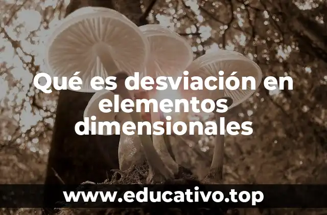 La importancia de medir la desviación en elementos dimensionales