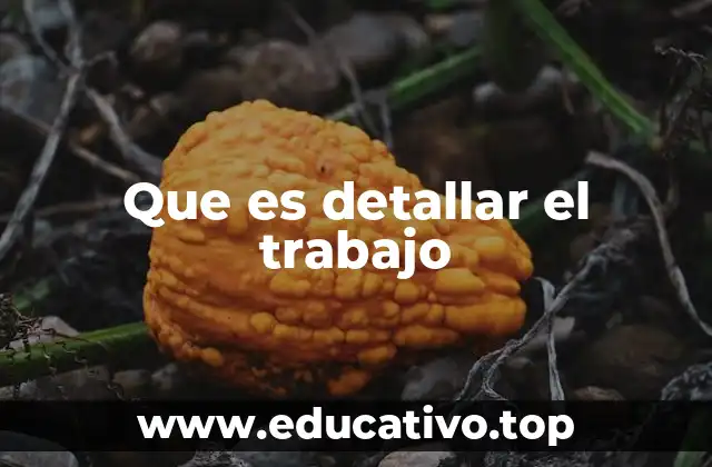 Que es detallar el trabajo