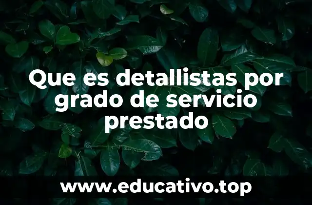 Que es detallistas por grado de servicio prestado
