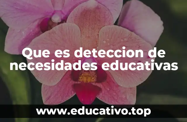 El rol de la evaluación en el proceso educativo