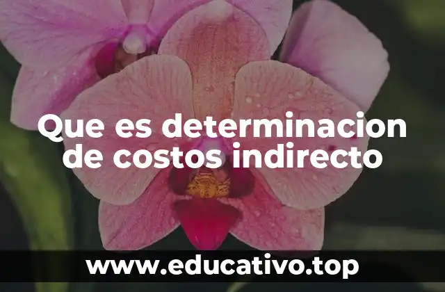 Que es determinacion de costos indirecto