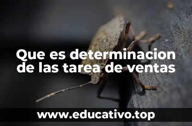 Que es determinacion de las tarea de ventas