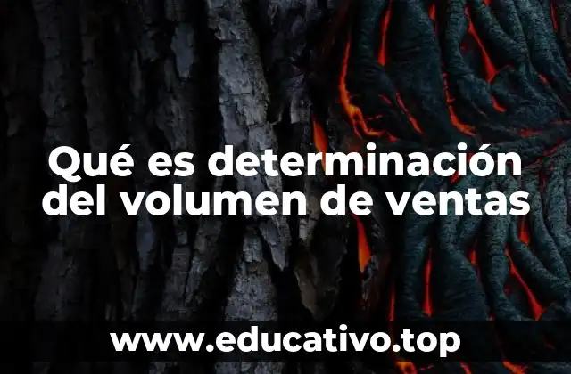 Qué es determinación del volumen de ventas
