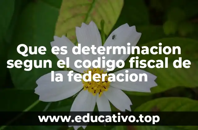 El papel de la determinación en el sistema fiscal mexicano
