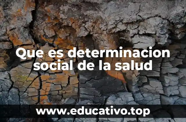 Que es determinacion social de la salud