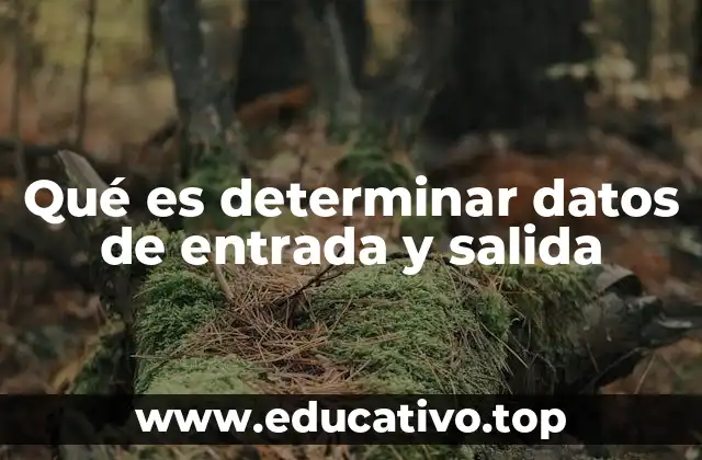 Qué es determinar datos de entrada y salida