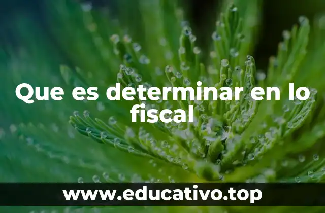 Que es determinar en lo fiscal