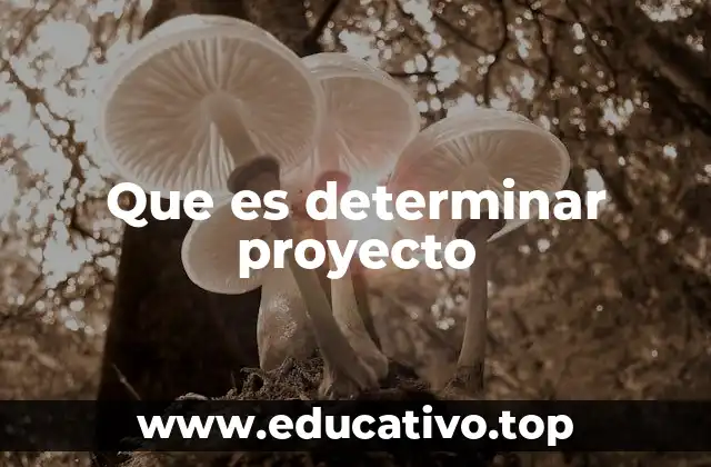 Que es determinar proyecto