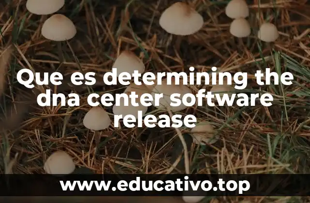 Que es determining the dna center software release