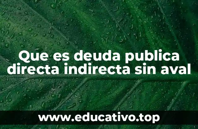 Que es deuda publica directa indirecta sin aval