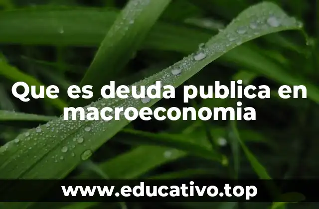 Que es deuda publica en macroeconomia