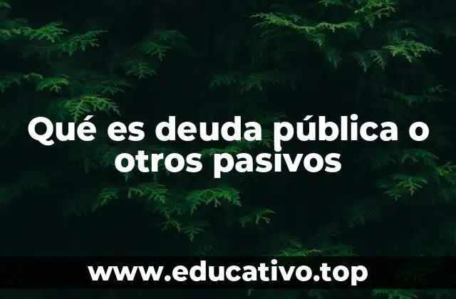 Qué es deuda pública o otros pasivos