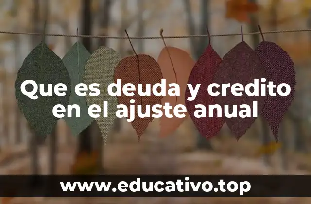 Que es deuda y credito en el ajuste anual