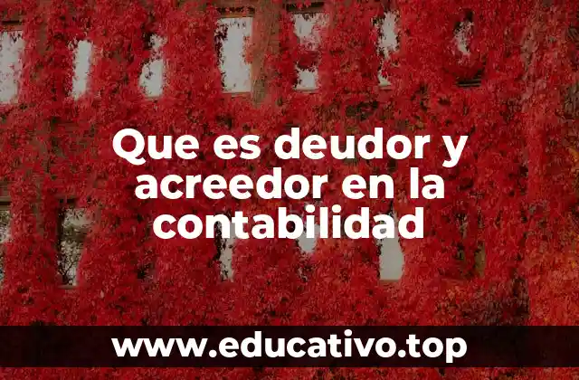 Que es deudor y acreedor en la contabilidad