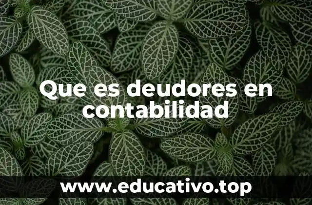 Que es deudores en contabilidad