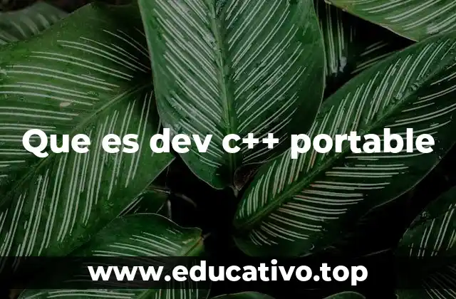 Que es dev c++ portable